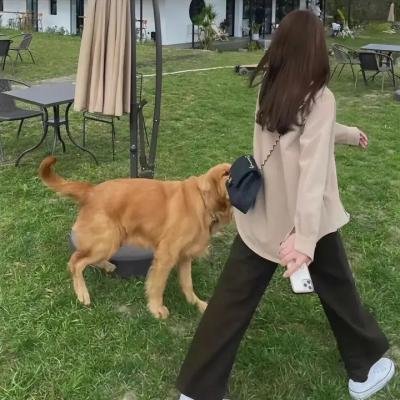 幻灭第三季