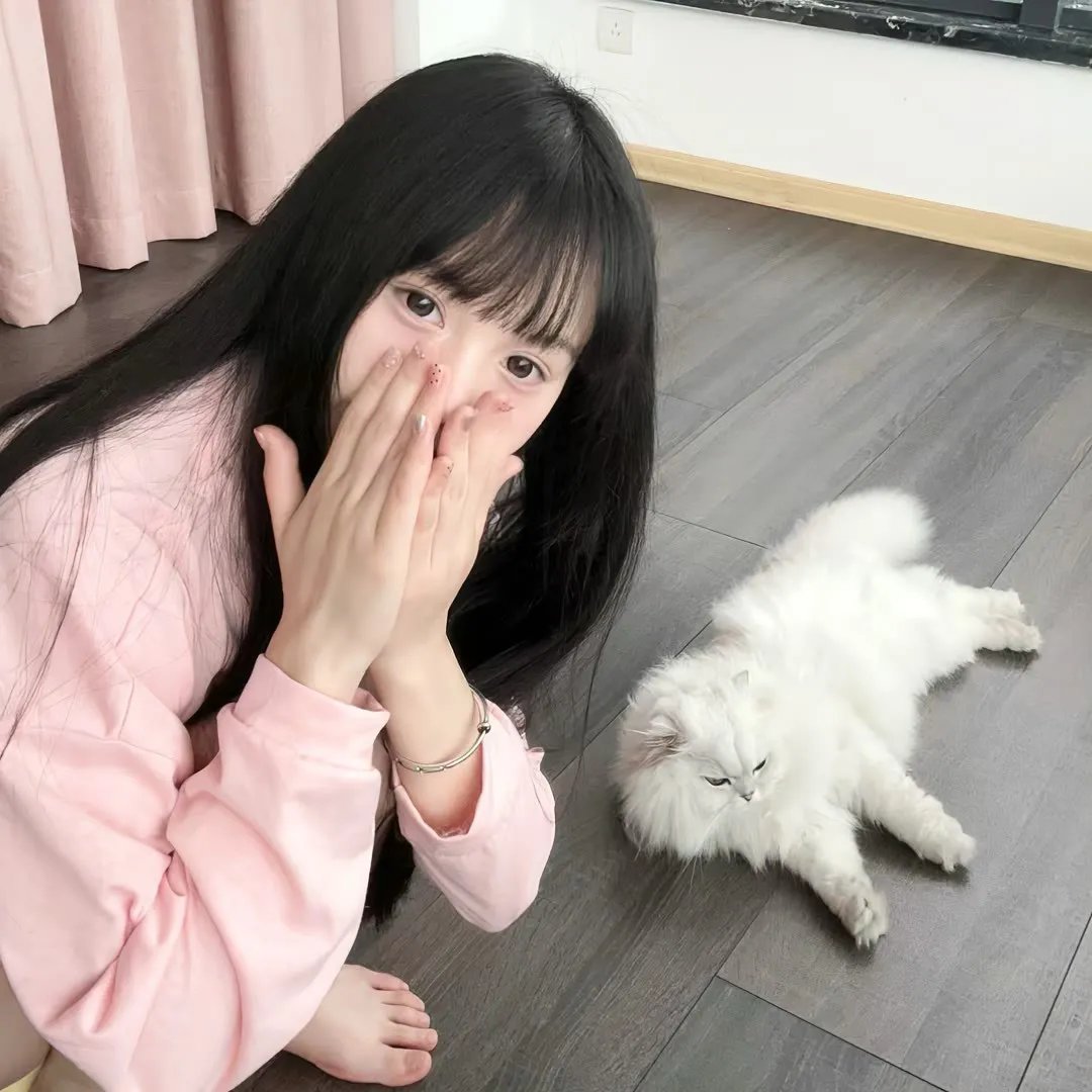 拜访小屋